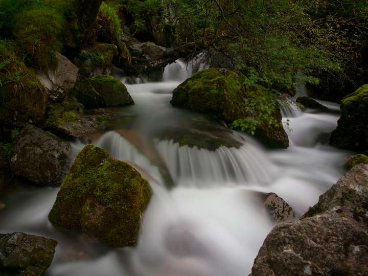 River and rocks
